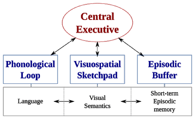 PDF) Models of Memory: Wittgenstein and Cognitive Science