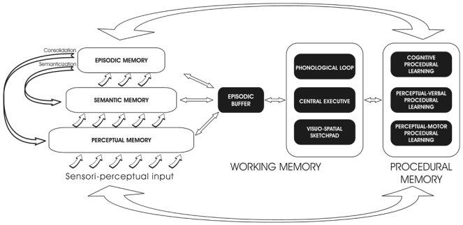 MNESIS (Memory NEoStructural Inter-Systemic model) new theory of human memory psychology