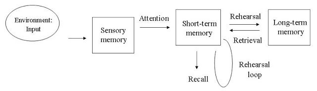 Dualstore model of memory by Atkinson and Shiffrin