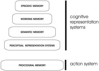 Tulving’s SPI (serial-parallel-independent) model (1995) of memory