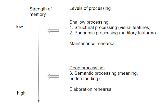 Levels of processing theory of memory by Craik and lockhart