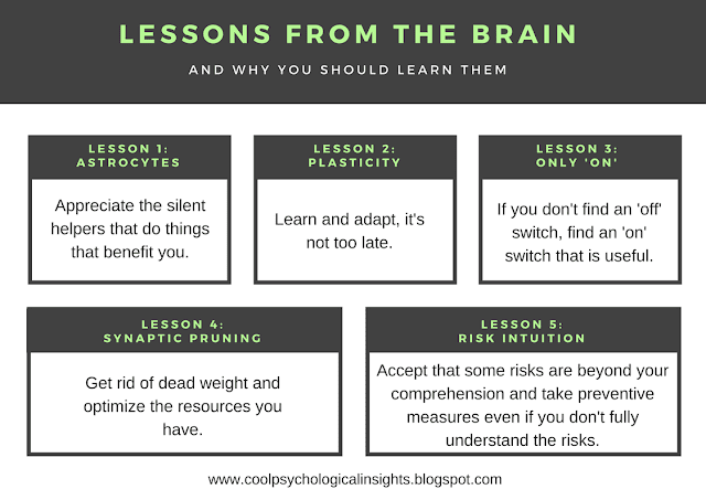 Life lessons from the brain