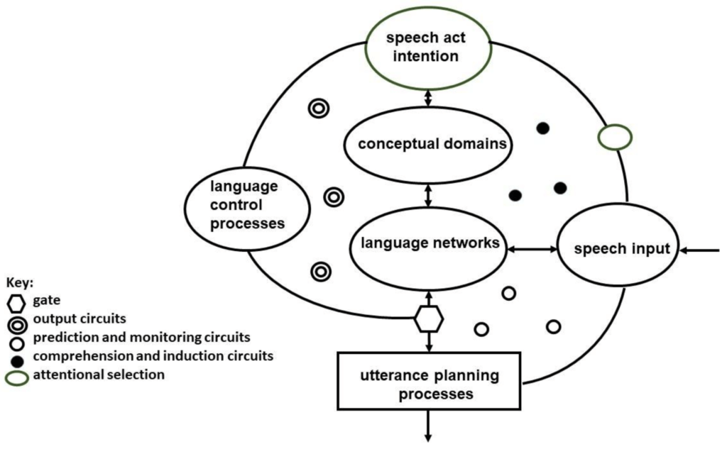 Green's extended control process model of code switching and language utterance 