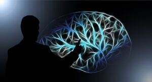 In What Form Is Memory Stored In The Brain & Mind? An Introduction