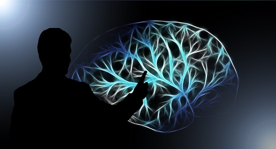 9 unanswered questions about the human brain