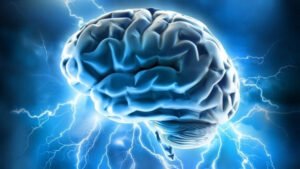 The Fundamental Science Of Brain-Based Learning: 7 Subconscious Brain Functions And Learning Processes