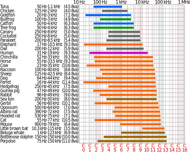 Range of human hearing and animal hearing