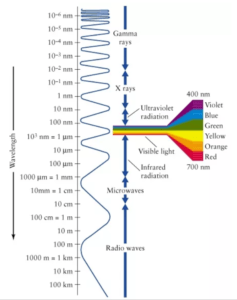 Human Perception Ranges Psychophysics: Sensory and Perceptual Limits. The Human Umwelt ...