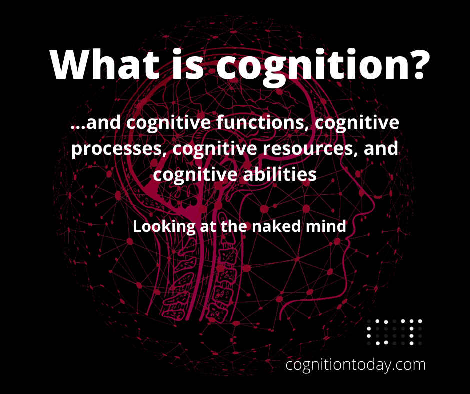 Cognition 101 Executive functions Cognitive processes