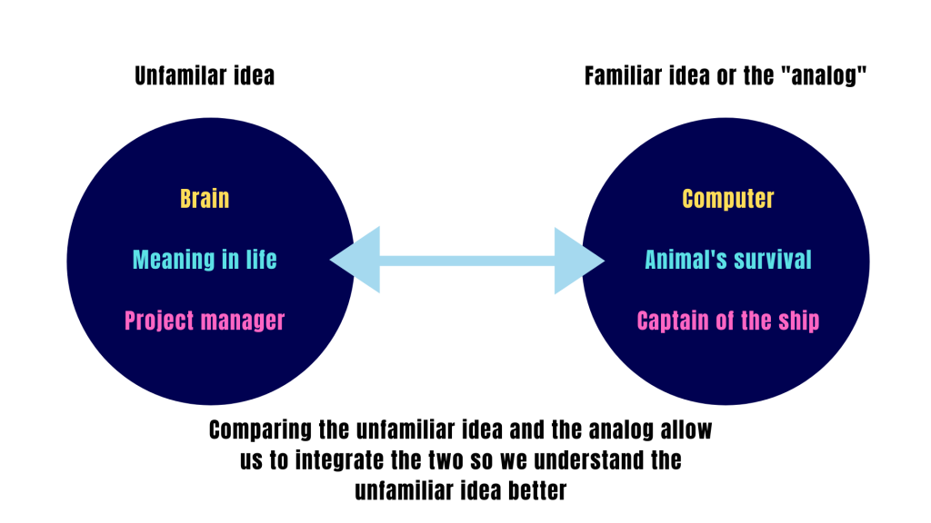 how-metaphors-and-analogies-reveal-the-truth-about-our-universe