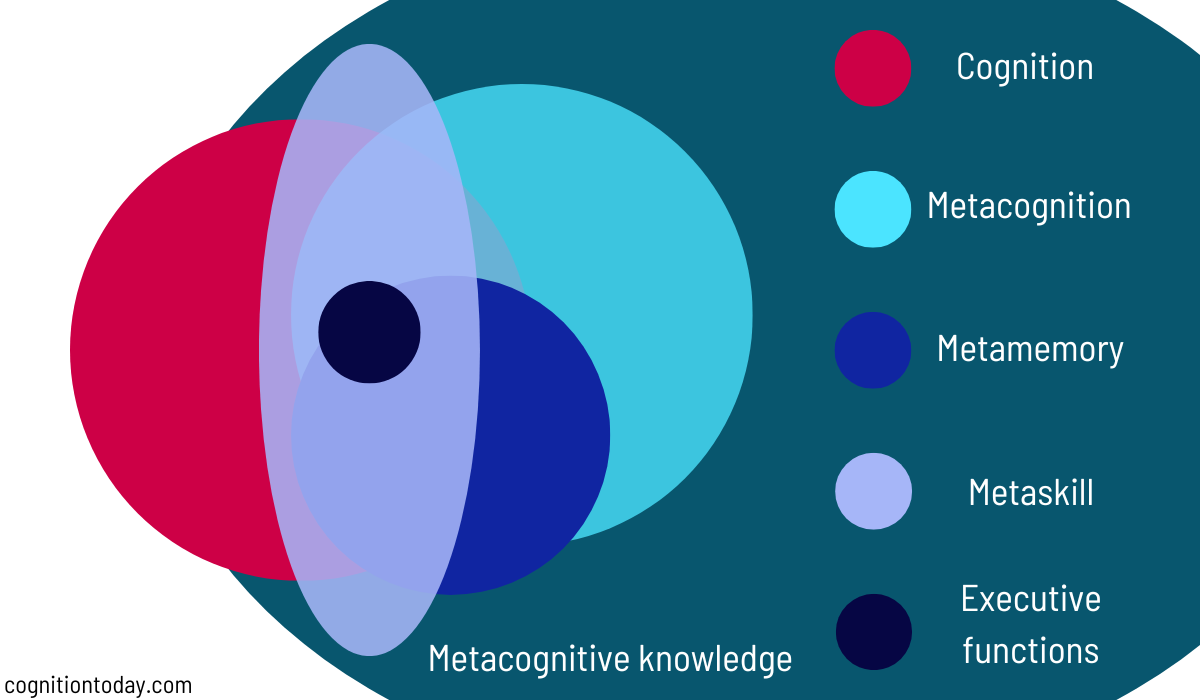 Metacognition & Metamemory Explained: Awareness, Reflection, Learning ...