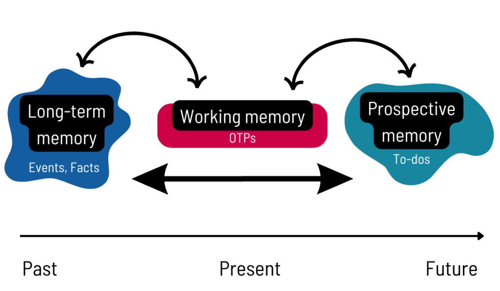 Can't Remember What I Forgot: Your Memory, Your Mind, Your Future