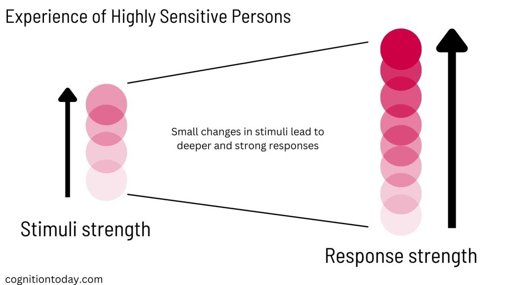 Stimulus-response experience of highly sensitive persons