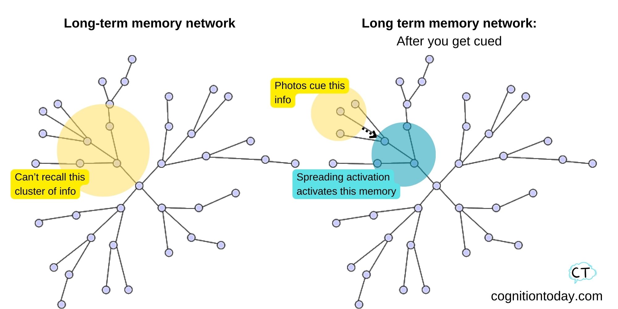 Spreading activation model long-term memory