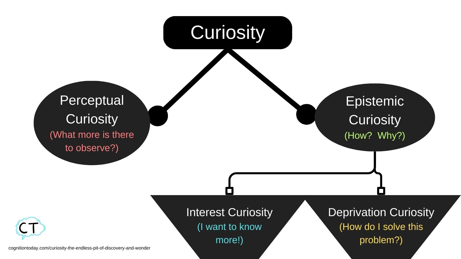 Curiosity: The Endless Pit Of Discovery And Wonder - Cognition Today