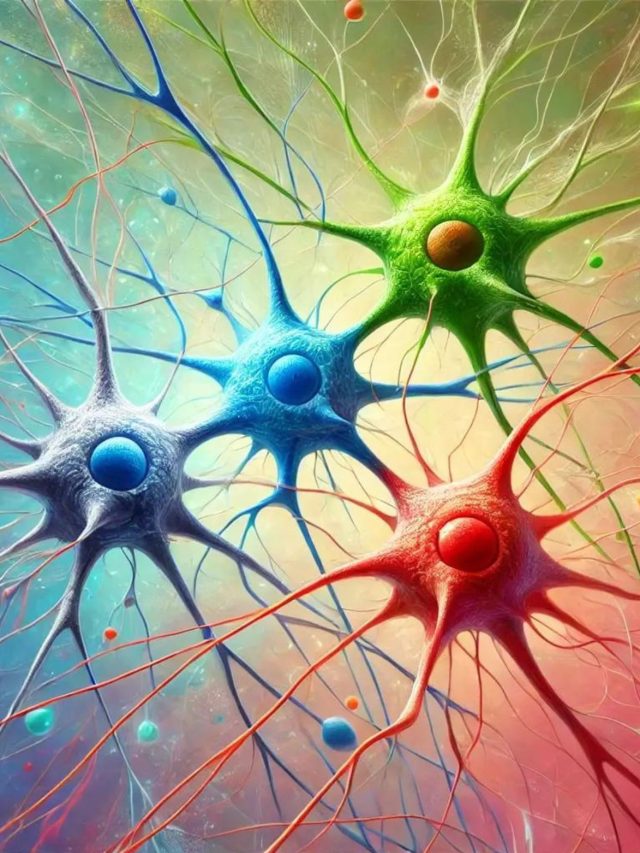 4 neurons representing 4 psychology myths