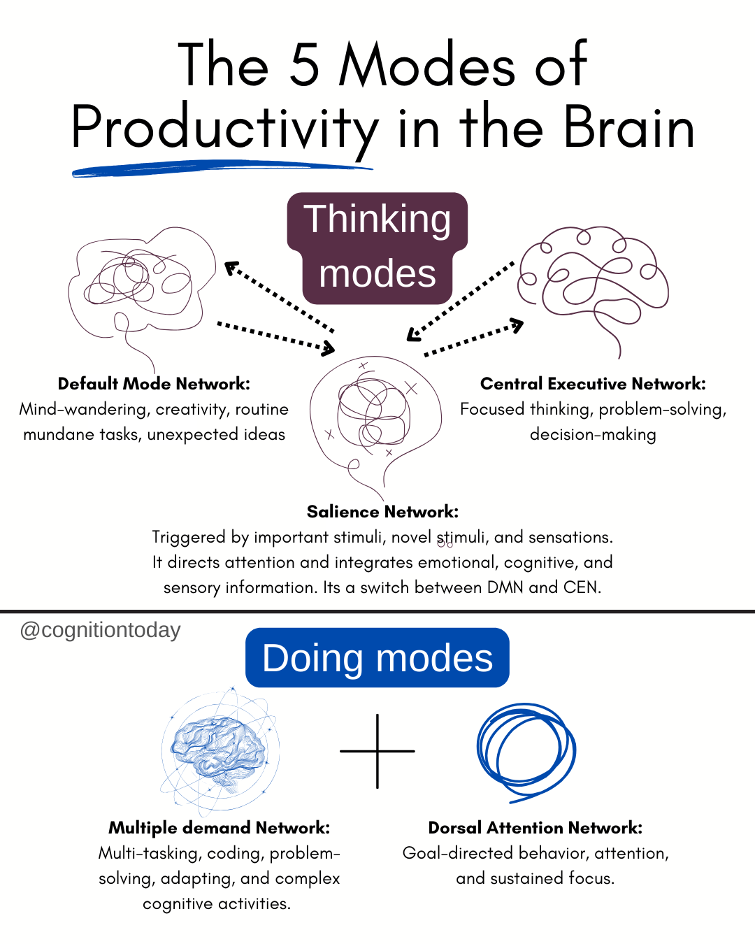 brain networks and productivity: Thinking and doing modes