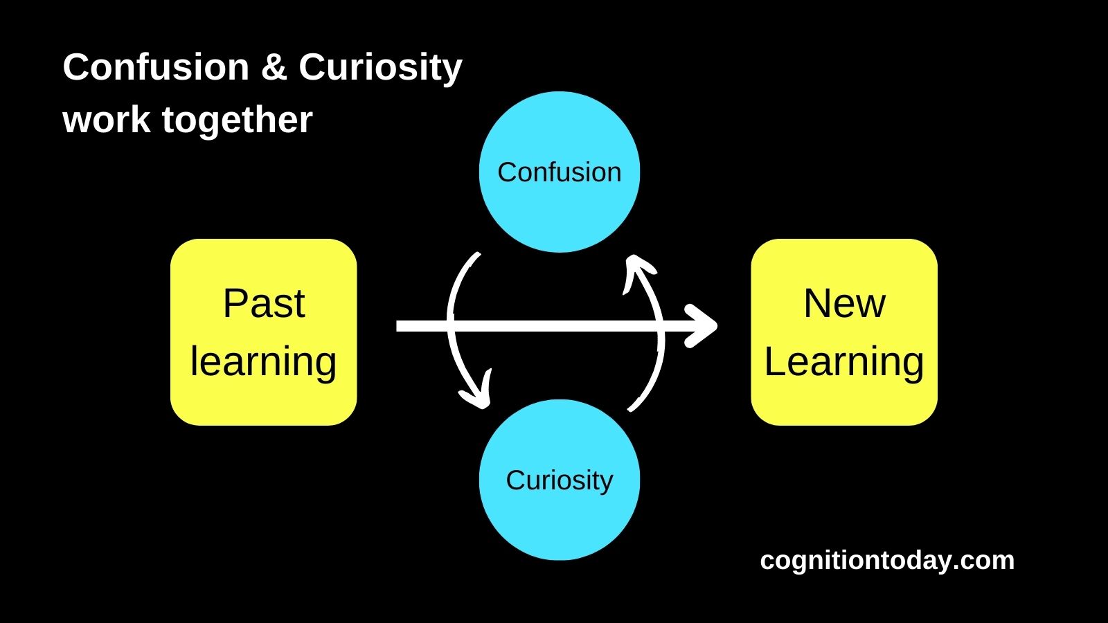 Curiosity and confusion in learning