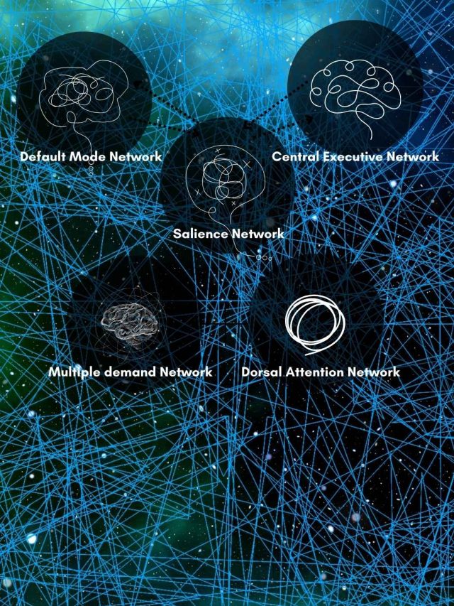 brain circuits productivity